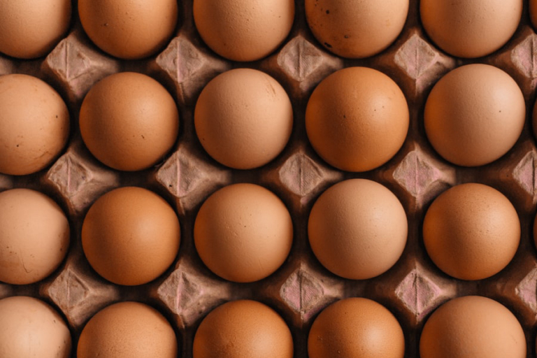 A brown laying hen standing in a chicken coop